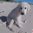 Wonkette Email of News for July 27, 2023!