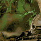 What the fuck *is* wrong with the New York Times, anyway? Wonkette’s today in news!