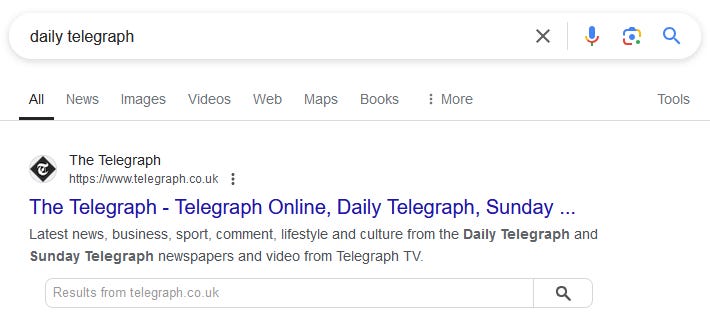 Branded search result on Google with the searchbox sitelink