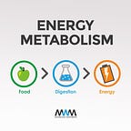 Masterclass With Masterjohn: Energy Metabolism
