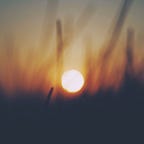 Natural Academy Newsletter  Podcast