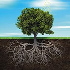 Root: A Serial Novel