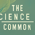 Blogs and Essays