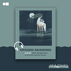 Navigando AquaGranda
