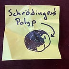 Schrödinger’s Polyp