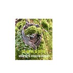 Dreaming in Green Podcast