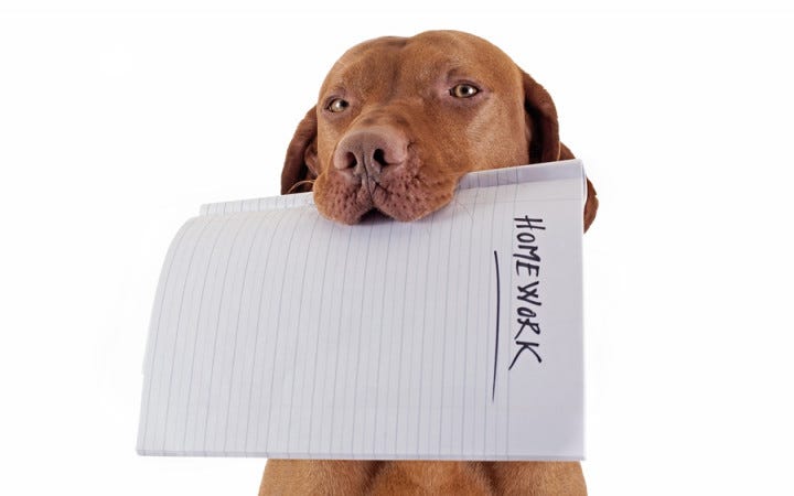 Do Dogs Really Eat Homework? | Wonderopolis