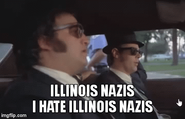 MRW 20,000 Republican voters nominate an actual Nazi to represent them in  Illinois. - Album on Imgur