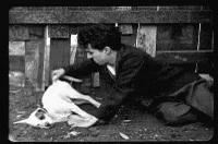 Elegant Charlie Chaplin GIF - Elegant CharlieChaplin DogPillow GIFs