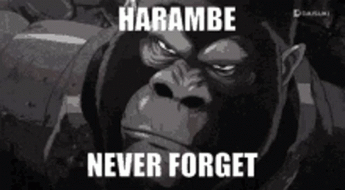 Dicks Out For Harambe Never Forget GIF - Dicks Out For Harambe Never Forget Gorilla GIFs