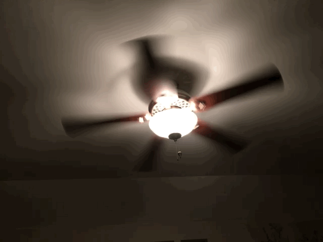 Fan #gif | Ceiling fan, Decor, Fan