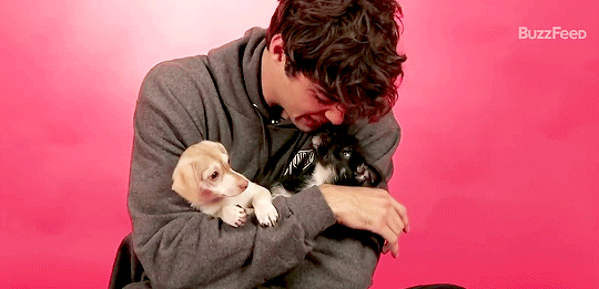 Noah Centineo snuggling with two small dogs in front of a pink background. Noah Centineo snuggling with two small dogs in front of a pink background.