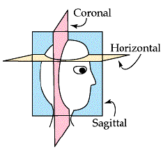 Drawing of a head intersected by three planes -- a horizontal plane marked "horizontal"; a vertical plane parallel to the face marked "coronal"; a vertical plane between the ears marked "sagittal."
