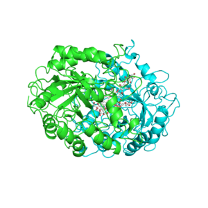 Quick and easy animated pictures of proteins | Getting to know Structural  Bioinformatics