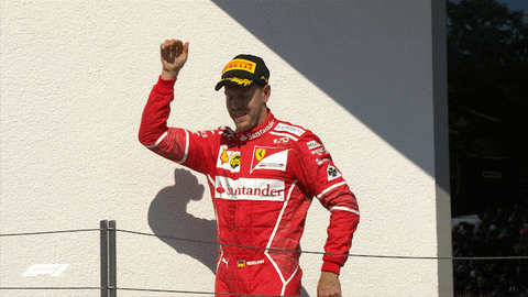 Vettel GIFs - Get the best GIF on GIPHY