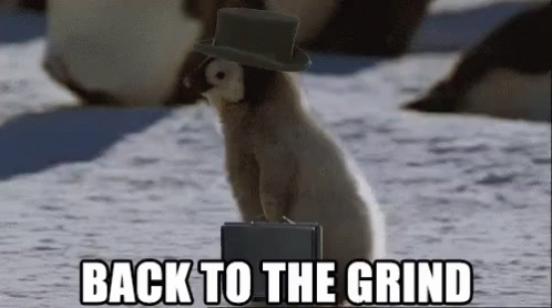 Back To The Grind GIFs | Tenor