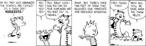 Daily Calvin & Hobbes | Calvin and hobbes comics, Calvin and hobbes quotes,  Calvin and hobbes