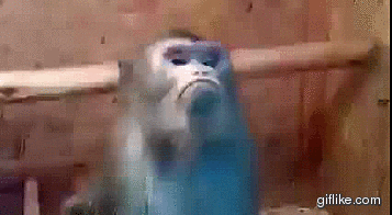 displeased no thank you GIF