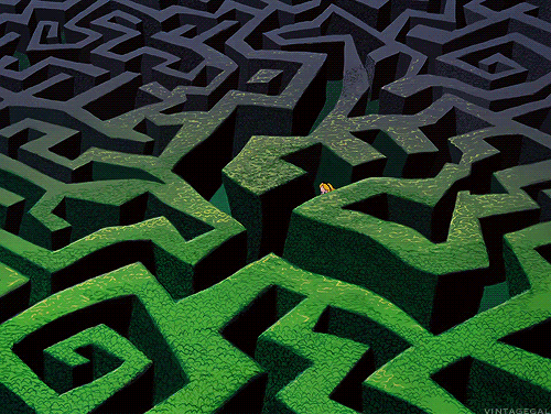 Maze GIFs - Get the best GIF on GIPHY