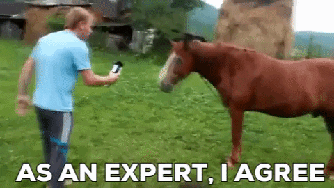 Expert reaction GIF | Animals | Know Your Meme