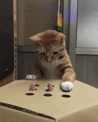 Whack A Mole GIFs - Get the best GIF on GIPHY