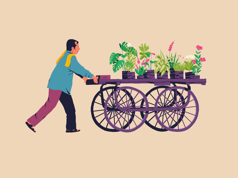Spreading The Greens flower seller plants indian gif aftereffects character animation illustration 2d animation
