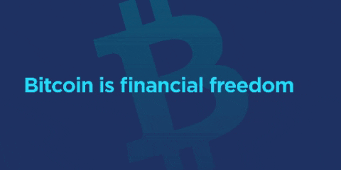 Bitcoin Crypto GIF by Gemini - Find & Share on GIPHY
