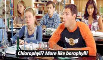 Chlorophyll GIFs - Get the best GIF on GIPHY
