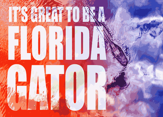 florida gators gator GIF by University of Florida