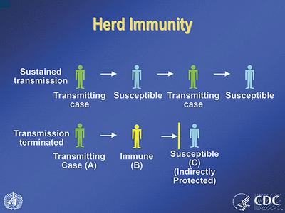 Why is herd immunity so important? | American Academy of Pediatrics