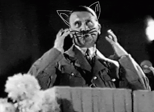 Hitler Kitty GIF - Hitler Kitty Meow GIFs