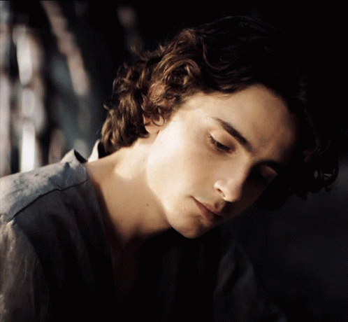 Timothee Chalamet GIF - Timothee Chalamet - Discover & Share GIFs
