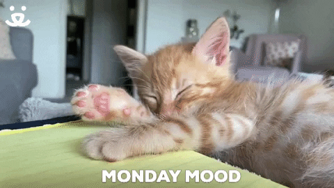 Tired Mood GIF by Best Friends Animal Society