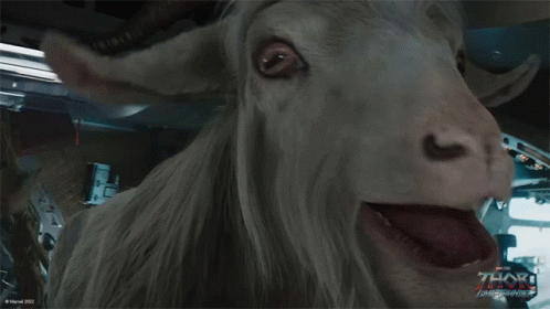 Bleating Goat Thor Love And Thunder GIF - Bleating Goat Thor ...