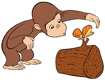 Curious George admiring a butterfly