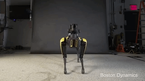 Spot can take on tasks that would be dangerous or mind-numbing for people  Giphy/Boston Dynamics