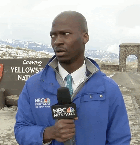 A gif of reporter Deion Broxton at Yellowstone National Park, glancing nervously off-camera at an approaching bison before hurrying away.