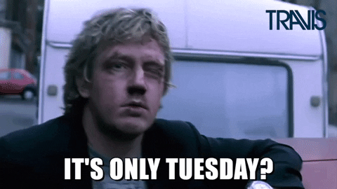 Tuesday Funny GIFs - Get the best GIF on GIPHY