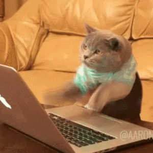 Image result for cats typing gif
