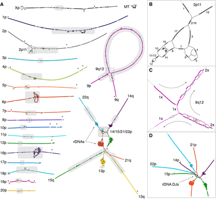 Fig. 2.