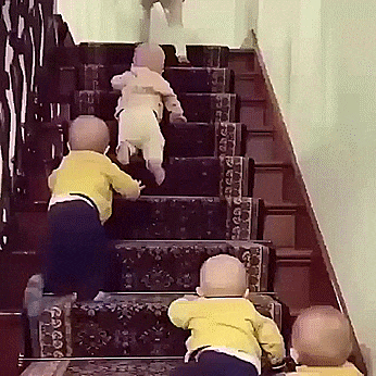 Babies Stairs GIF