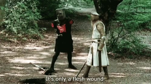 Never Give Up No Surrender GIF - Never Give Up No Surrender Monty Python  And The Holy Grail - Discover &amp; Share GIFs