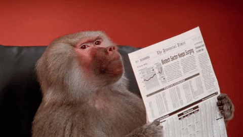 Newspaper Office Monkey GIF