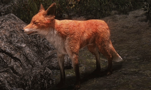 Skyrim Foxes Are More Useful Than You Think - EIP Gaming