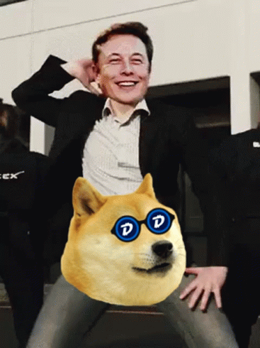 Elon Musk Dogecoin GIF - Elon Musk Dogecoin Doge - Discover & Share GIFs