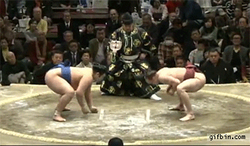 sumo win GIF