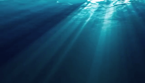 Undersea GIF | Gfycat