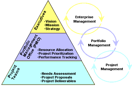 Function of the Project Portfolio