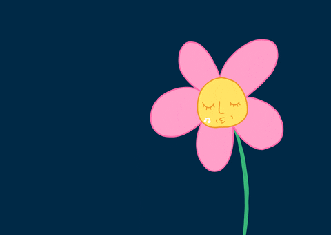 Song Flower GIFs - Get the best GIF on GIPHY