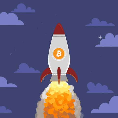 Bitcoin to the Moon - Rarible | OpenSea